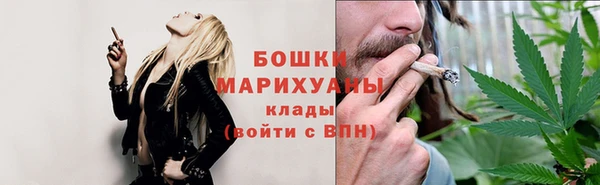 гидра Михайловка