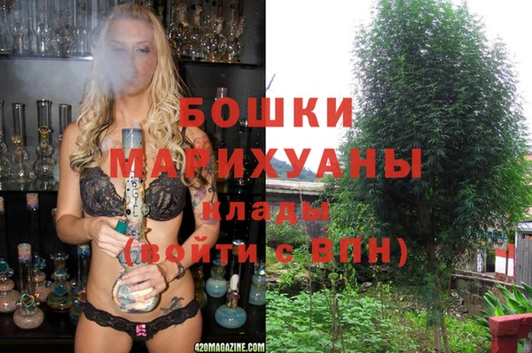 молекула духа Наволоки