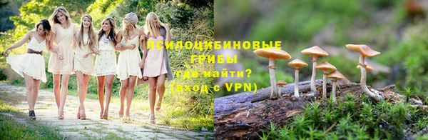 амф Михайловск